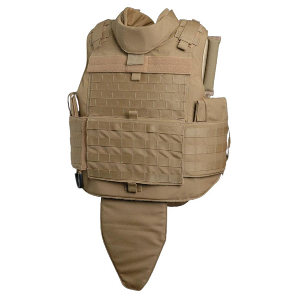 U.S. Issue IMTV Plate and Armor Carrier Vest