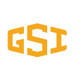 GSI