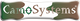  CamoSystem