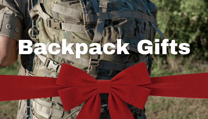 backpack worn and a bow on image