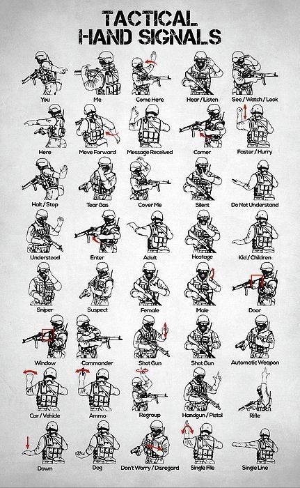 hand signals for military dogs