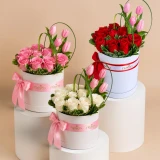 Devotion in Bloom