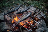 Campfire Trout Recipe: Self-Caught Garlic and Herb Campfire Trout