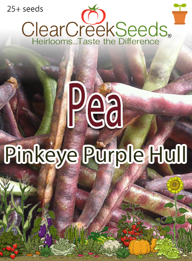 Pinkeye Purplehull Pea Seeds - Southern Cowpea, 1Lb+ (2000+ Seeds), Supports St. Jude
