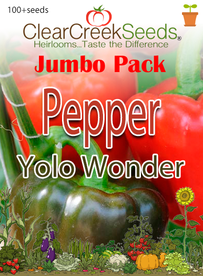 Pepper Sweet Yolo Wonder (100+ seeds) JUMBO PACK Clear Creek Seeds