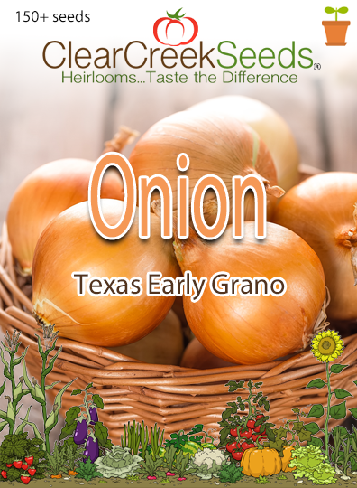 Onion Texas Early Grano (150+ seeds) Clear Creek Seeds