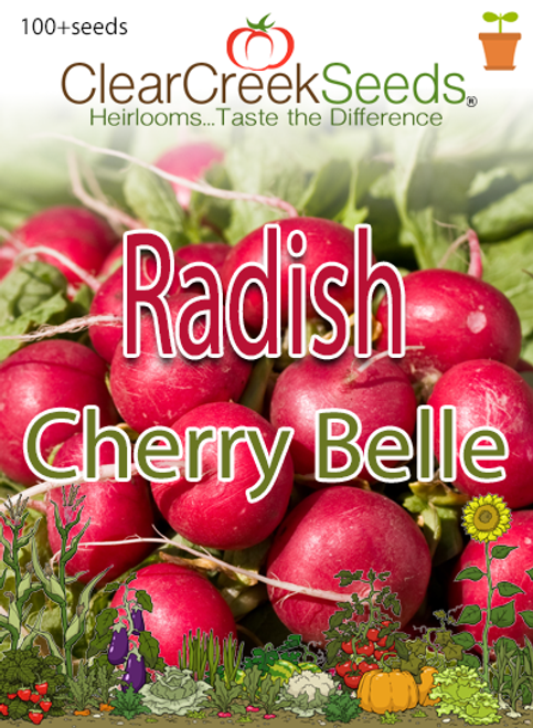 Radish - Cherry Belle (100+ seeds)