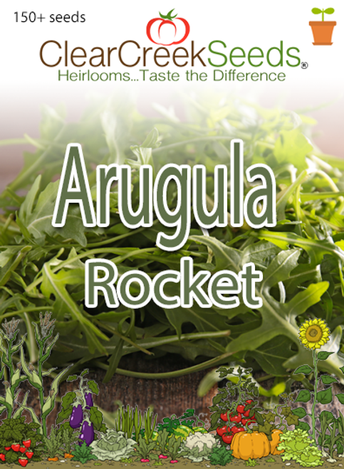 Arugula - Rocket (150+ seeds)