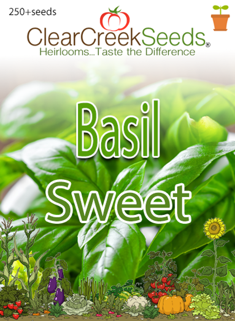 Basil - Sweet (250+ seeds)