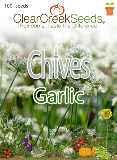 Chives - Garlic (100+ seeds)