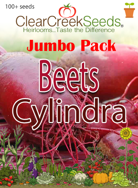 Beets -  Cylindra (100+ seeds) JUMBO PACK