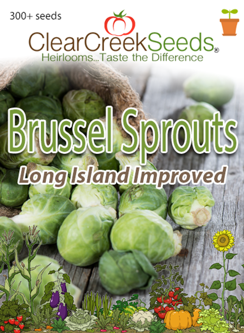 Brussels Sprouts - Long Island Improved (300+ seeds) JUMBO PACK