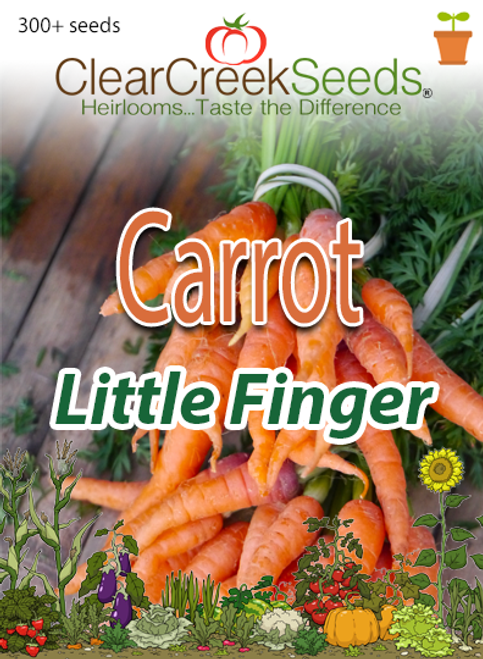 Carrot - Little Finger (300+ seeds)