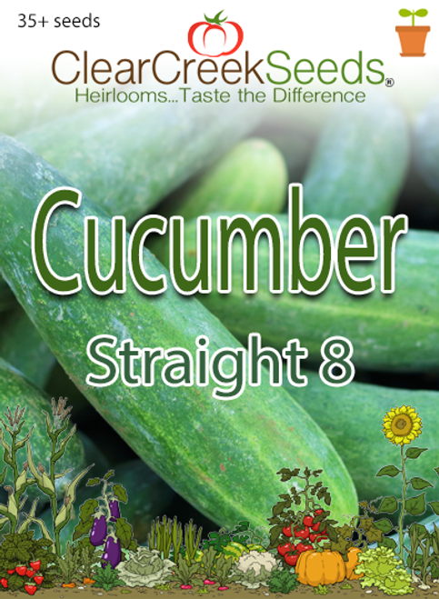 Cucumber - Straight 8 (35+ seeds)