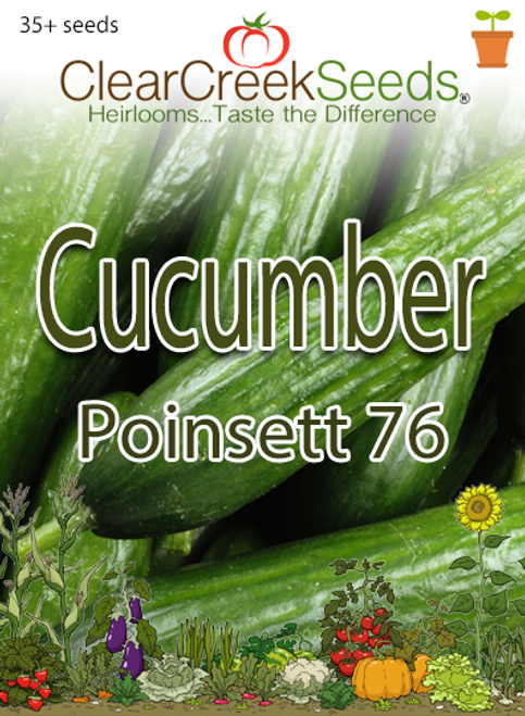 Cucumber - Poinsett 76 (35+ seeds)