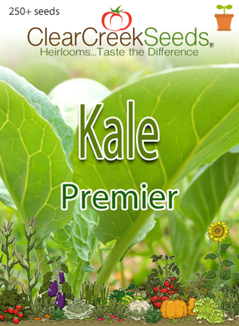 Kale - Premier (250+ seeds)