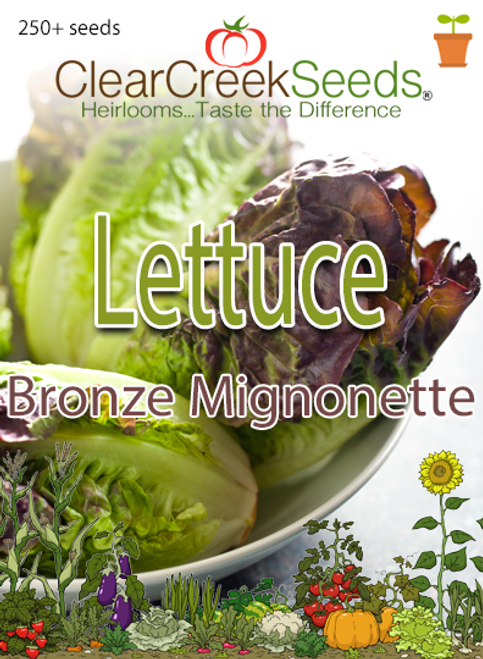 Lettuce Butterhead - Bronze Mignonette (250+ seeds)