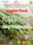 Asparagus - Mary Washington (100+ seeds) JUMBO PACK
