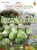 Brussels Sprouts - Long Island Improved (300+ seeds) JUMBO PACK