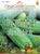Cucumber - Straight 8 (35+ seeds)
