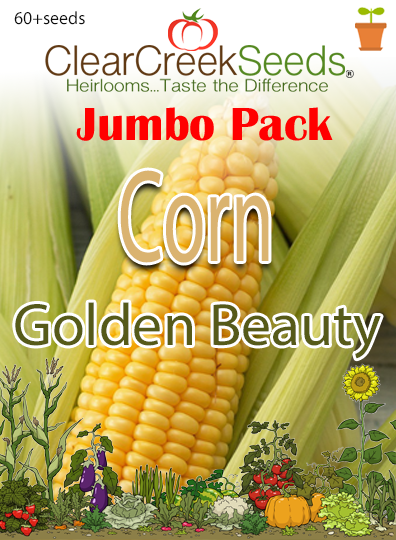 Corn_Goldren_BeautyJumbo_edite