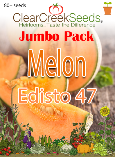 Melon - Cantaloupe Edisto 47 (80+ seeds) JUMBO PACK - Clear Creek