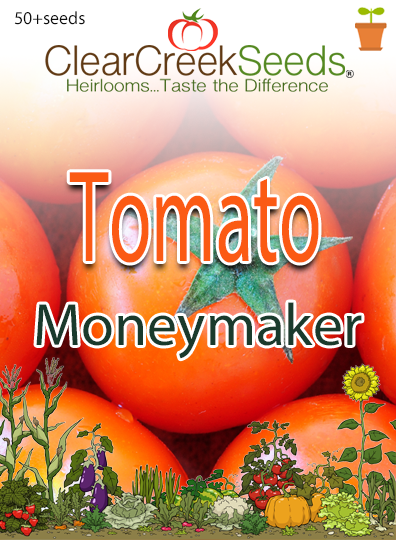 Tomato - Moneymaker (50+ seeds) - Clear Creek Seeds