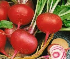 Image result for early wonder beet image