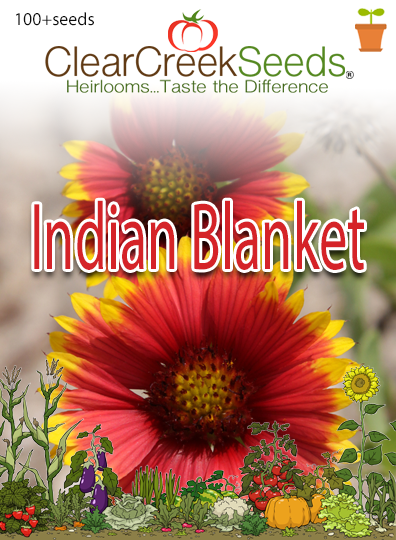 cheap flower seeds Buy Best Quality Stocks Mixed Color Flower Seeds Online