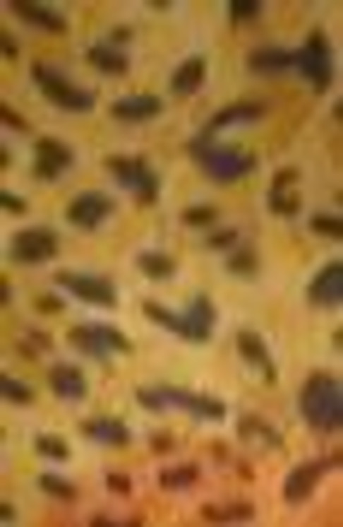 Nail Art Foil - Leopard