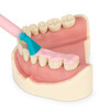 7523310 | Also ideal for use with denture impressions.