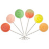 Zollipops® Tropical Assorted Tub