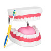 Giant Hygiene Model | The Giant Hygiene Model will make a huge impression on the classroom.