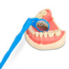 7160611 | Innovative, double-sided, dual-position dental mirror