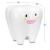 6155615 | Shiny, white fiberglass molars measure 16"W x 16"D x 16"H.