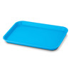70103280 | Spectrum Lockable Flat Tray Size B