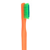 7045217 | Adult Neobrushes | Quality-made with soft, end-rounded DuPont Tynex bristles.