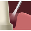 Traxodent Hemostatic Retraction Paste System Value Pack |