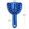 DuraLock Plus Impression Trays Small Upper 50/Pack | Specifically designed to optimize comfort, handling and alginate retention.
