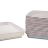ECOsply™ Large Biodegradable Instrument Trays 250/Box