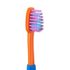 71213135 | Crayola Deep Clean Child Toothbrushes 12/Pack | Feature ultra-soft, tapered bristles to clean more gently and deeply between teeth and along gumline.