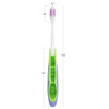 71098121 | Folding toothbrush for on-the-go patients
