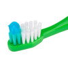 71098125 | PRACTIvalu Toddler Toothbrushes | Contoured, extended-reach tip helps guide parents on proper toothpaste dosage.