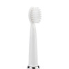 71098130 | Soft, end-rounded DuPont™ Tynex® bristles provide gentle, effective cleaning.
