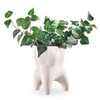 9072710 | Our versatile Molar Vase makes a great desk accessory, planter, candy or gum dispenser, or simply a decorative container for miscellaneous small items.