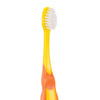 7045257 | 23 tufts of extra-soft, flat-trimmed bristles