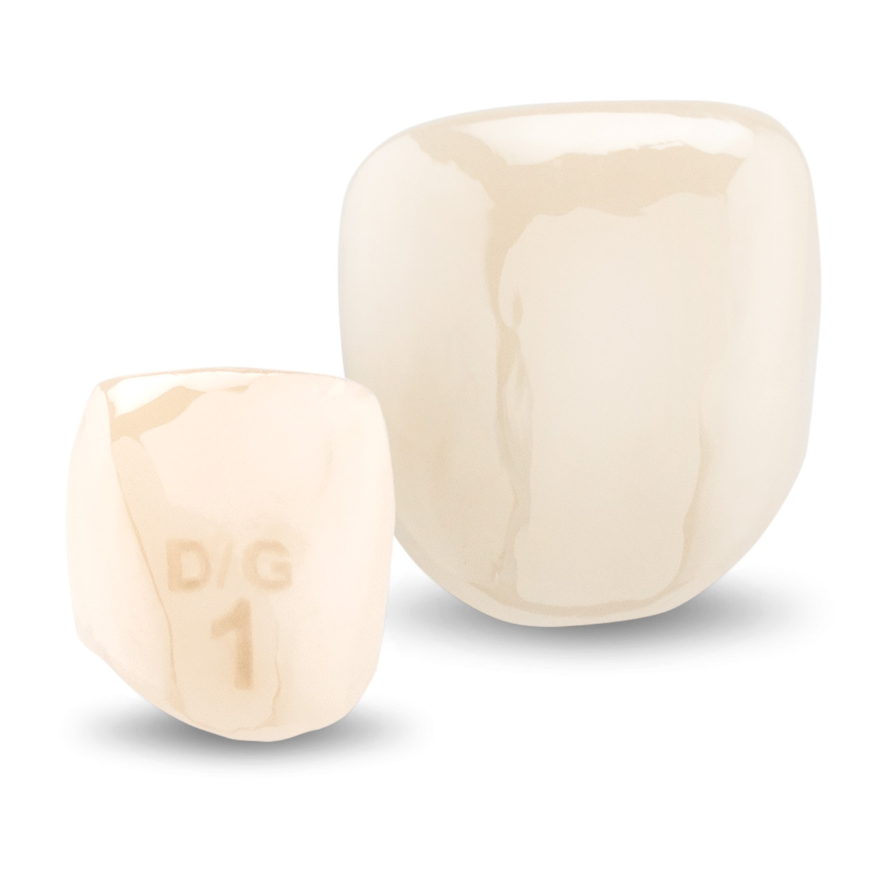 Acero Zirconia Upper Primary Laterals D & G | Practicon Inc