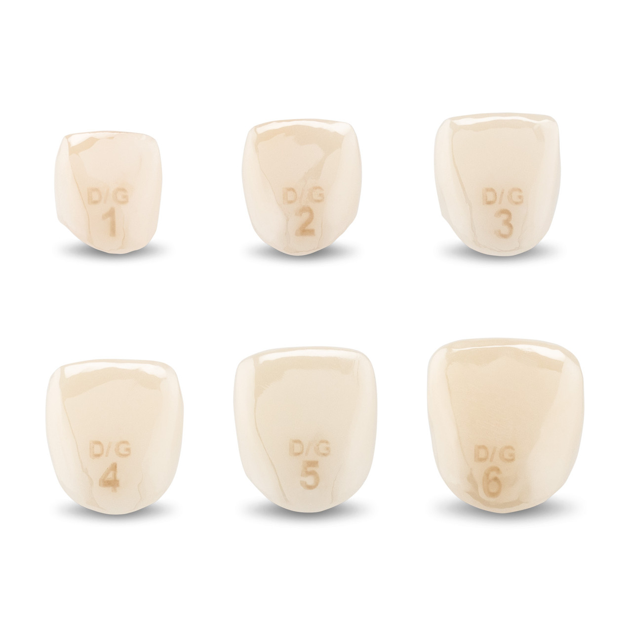 Acero Zirconia Upper Primary Laterals D & G | Practicon Inc Acero Zirconia Upper Primary Laterals D & G | Practicon Inc