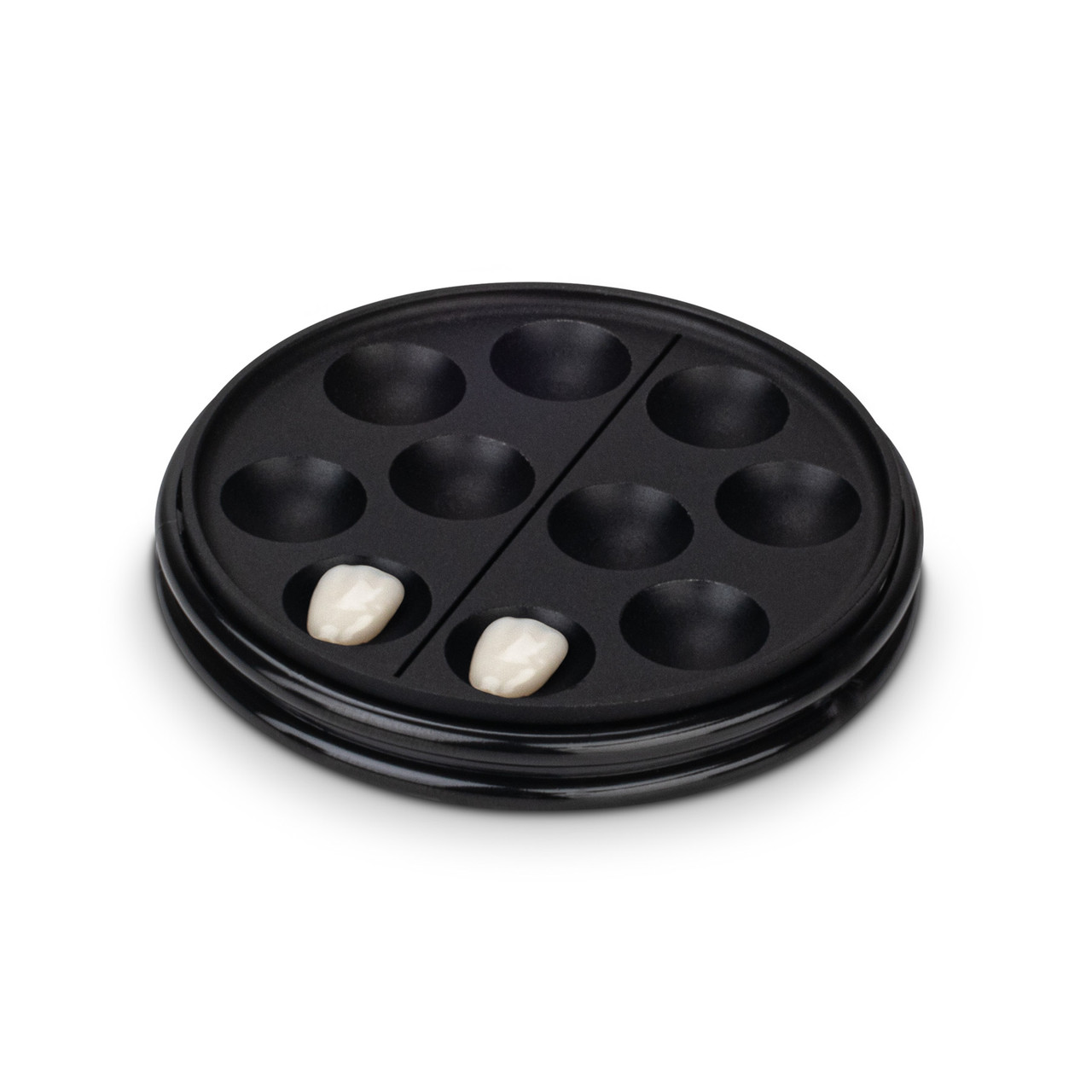 CALSET Porcelain Veneer Tray | Practicon, Inc