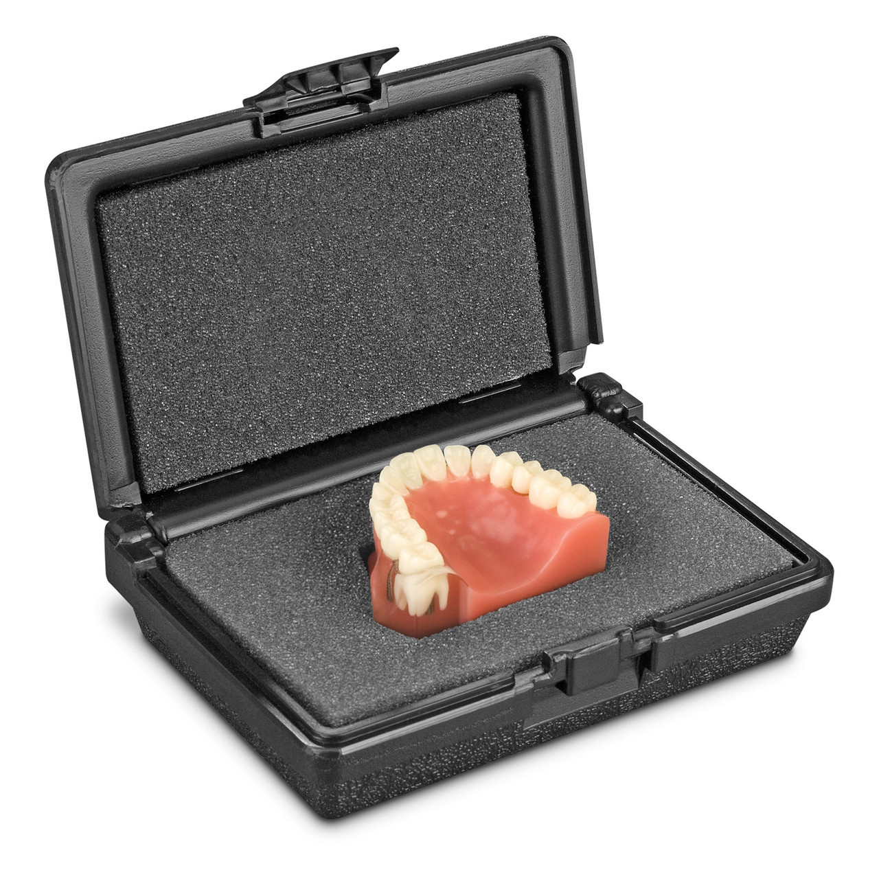 健康・医学 Implant Dentistry: Theory and Practice Dental Implant Prosthetics (Hardcover) | Harvard Book Store
